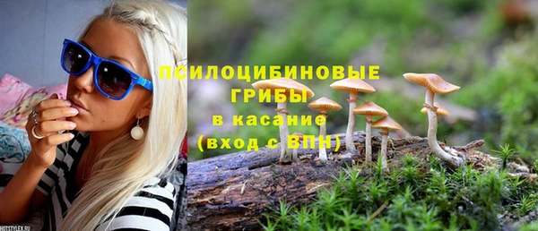 дмт Алексин